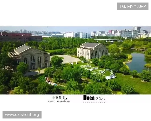 环亚国际贸易：引领全球商务合作新趋势